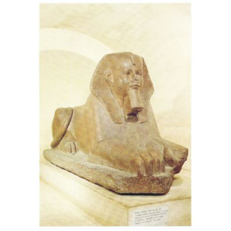 Vykort Egypten 135x135mm