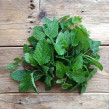 Citronmeliss