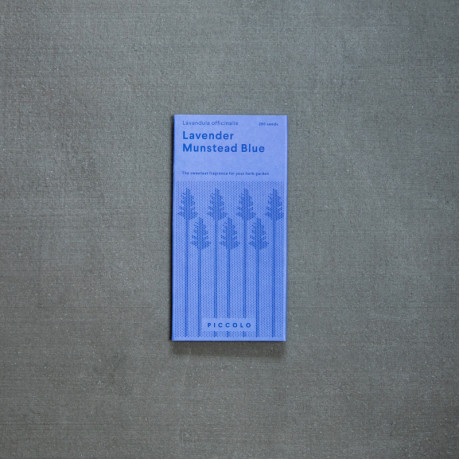Lavendel Munstead Blue