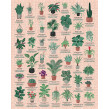Pussel House Plants