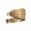Cartonic 3D Pussel Einstein