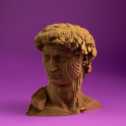 Cartonic 3D Pussel David