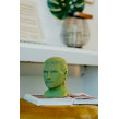 Cartonic 3D Pussel Freddie